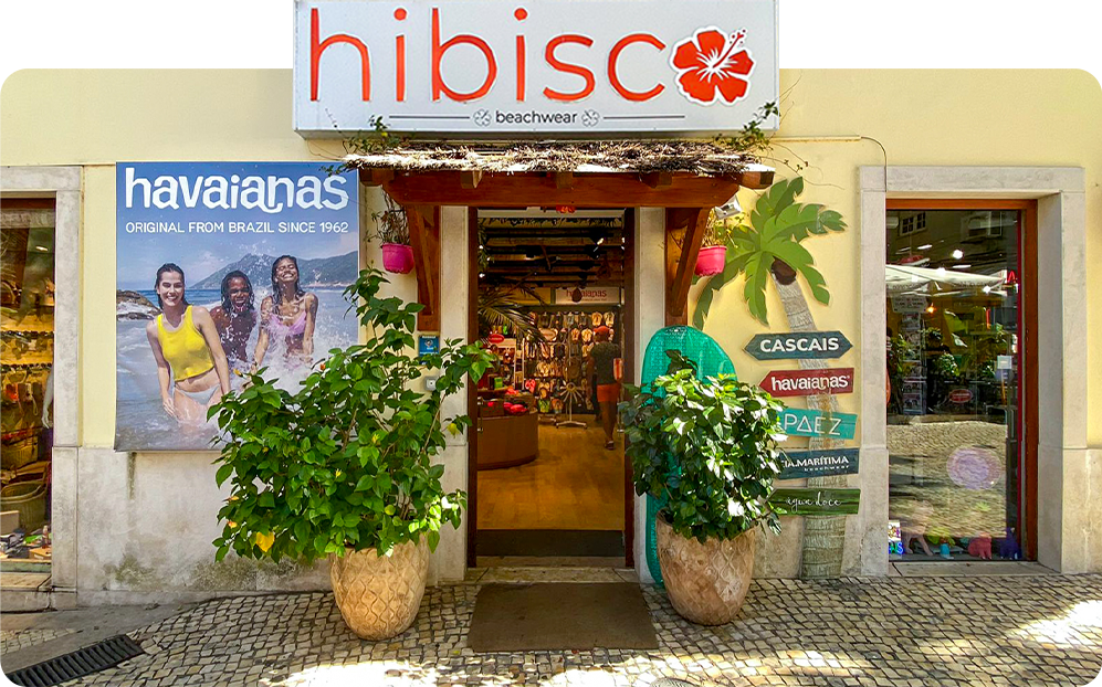 Hibisco